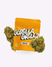 Flores Orange Cookies - Gorila Grillz